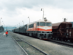 776019e.jpg