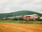 776019g.jpg