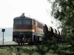 776019m.jpg