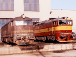 776019n.jpg