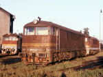 776019o.jpg