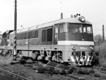 776019q.jpg