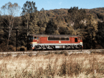 776019r.jpg