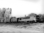 776019s.jpg