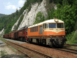 776019u.jpg