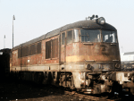 776021a.jpg
