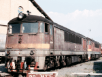 776021b.jpg