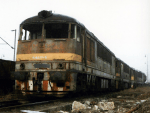 776021d.jpg
