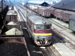 776022a.jpg