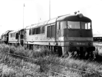 776022d.jpg
