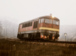 776024a.jpg
