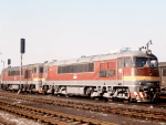 776025f.jpg
