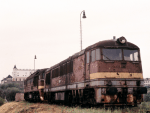 776026a.jpg