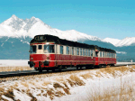850014d.jpg