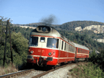 850018c.jpg